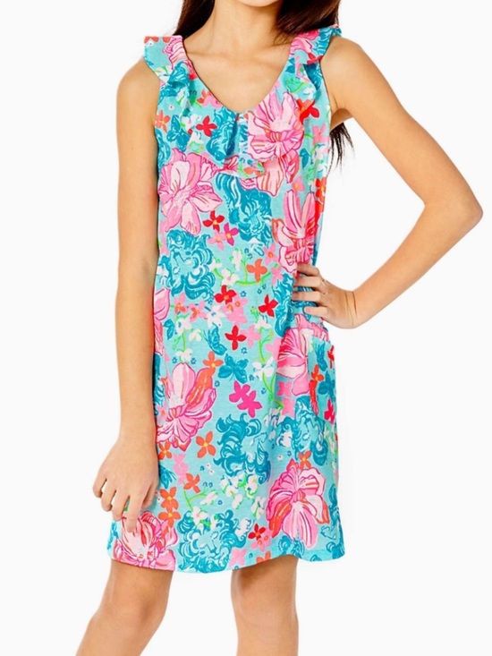 Lilly Pulitzer Other - Lilly Pulitzer Mini Alessa Dress